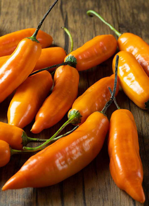 Ají Amarillo 100 gr.