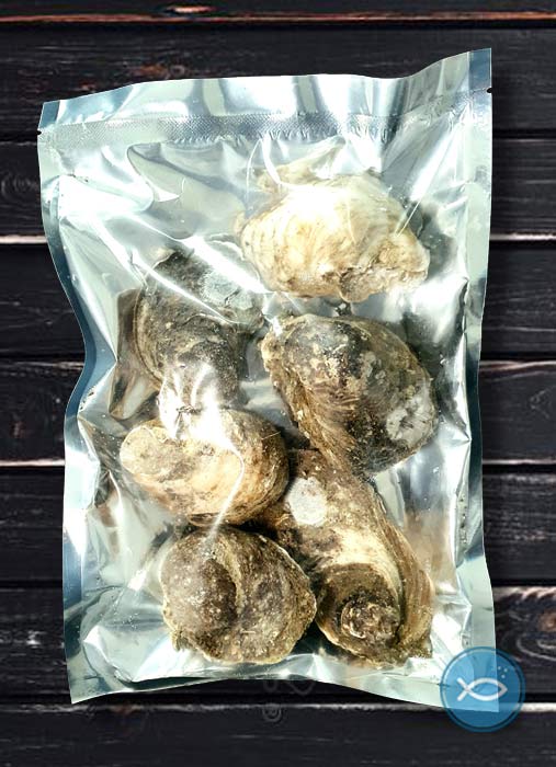 Ostras del Pacífico