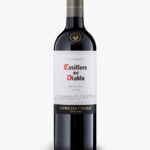 Vino Casillero del Diablo Malbec Reserva