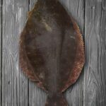 Lenguado entero Desvicerado | Libra