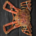 Centolla del Pacífico