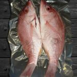 Pargo Entero Desvicerado | Libra